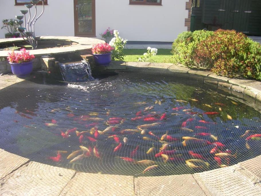 Coastal Garden Lodge Preesall Zewnętrze zdjęcie